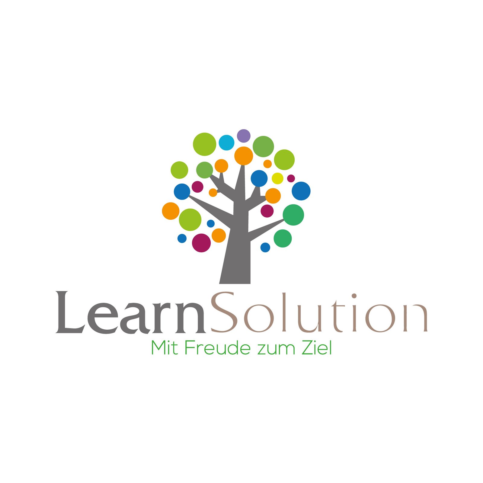 LearnSolution